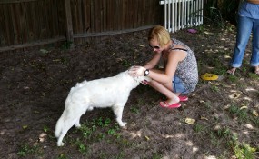 Bon Jovi is going home!