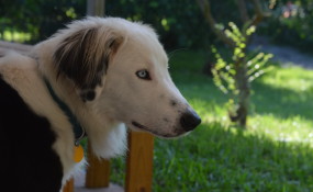 what a handsome boy!