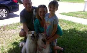 Alfalfa and Spanky Adopted