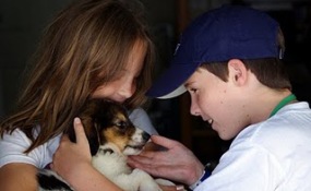 Logan the Puppy and the Twins