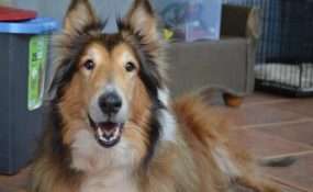 feature Cant stop Destiny from smiling!